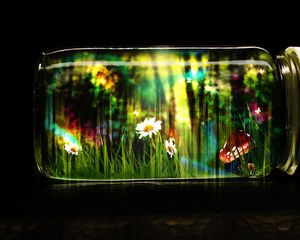 Preview wallpaper bank, glass, cap, butterflies, nature, fantasy