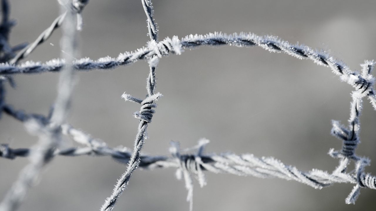 Wallpaper barbed wire, frost, metal