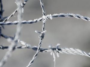 Preview wallpaper barbed wire, frost, metal