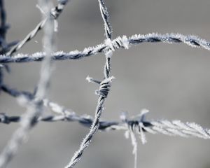 Preview wallpaper barbed wire, frost, metal