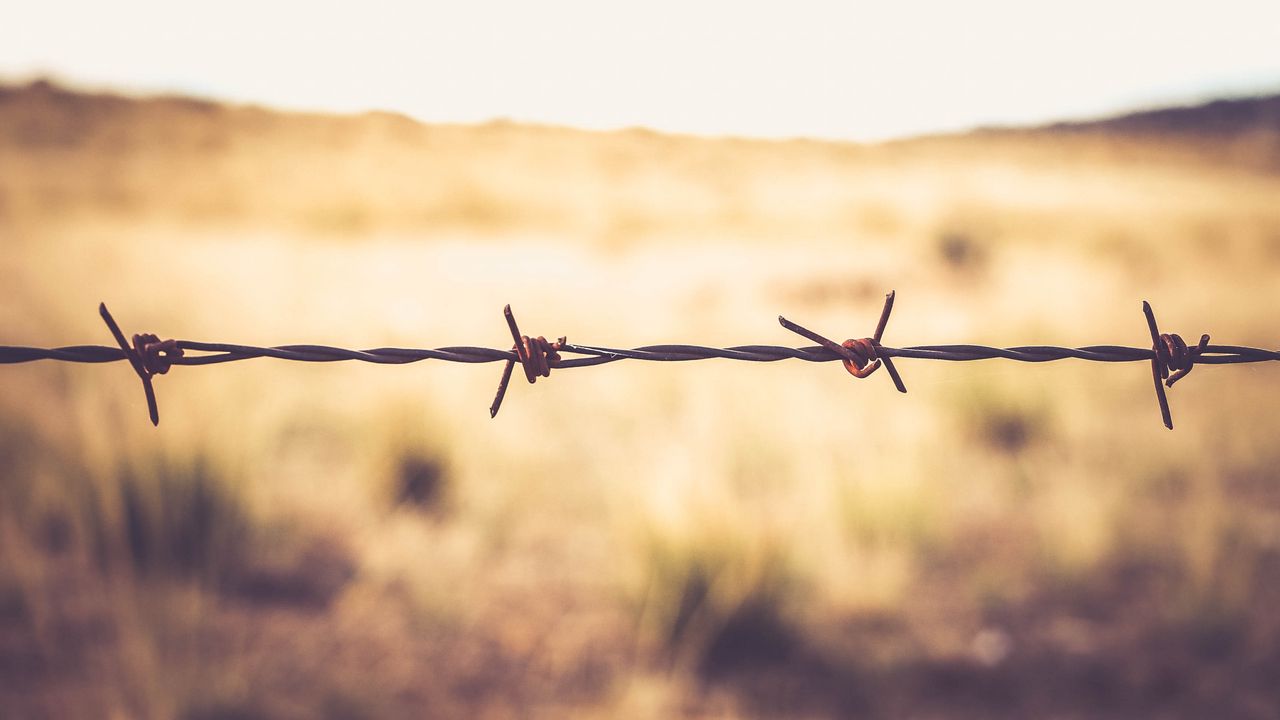 Wallpaper barbed wire, spikes, macro, wire, barbed