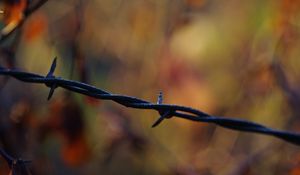 Preview wallpaper barbed wire, spikes, rust, blur