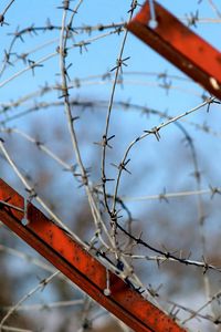 Preview wallpaper barbed wire, stretched, metal, rust, paint, sky