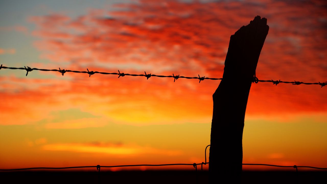 Wallpaper barbed wire, sunset, horizon