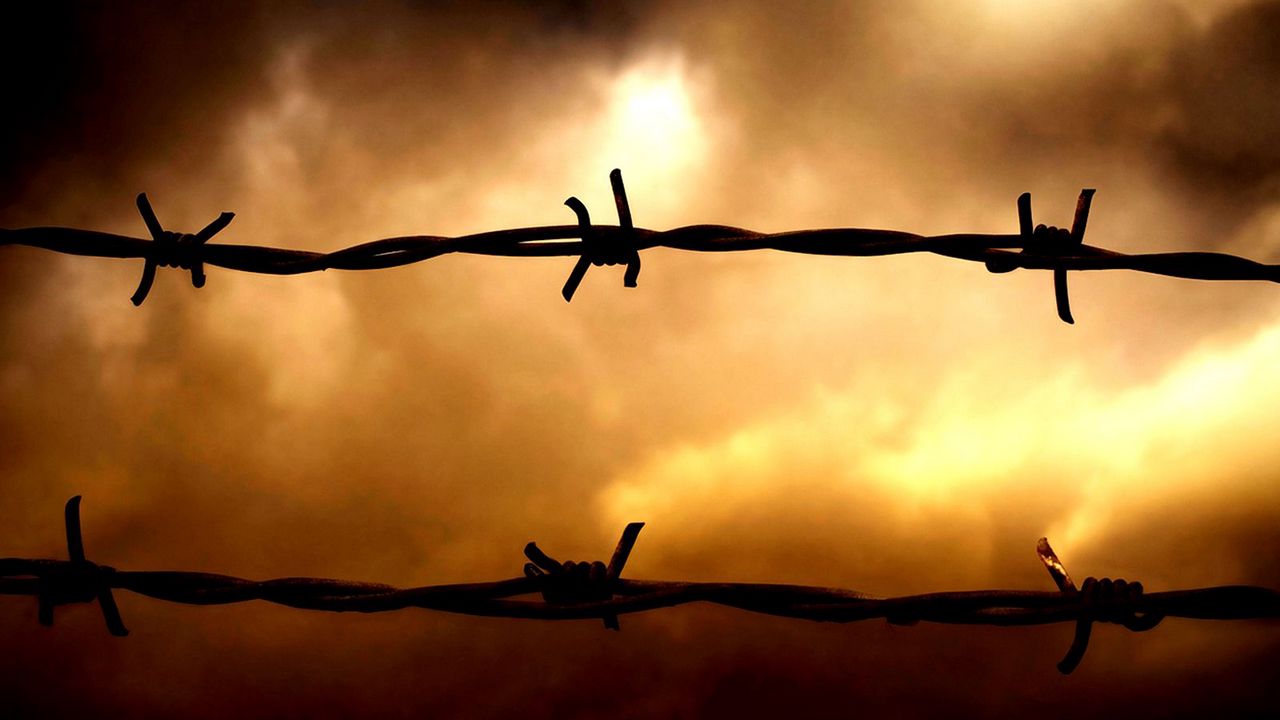 Wallpaper barbed wire, sunset, sky, obstruction, clouds