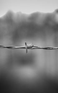 Preview wallpaper barbed wire, thorns, black and white, blur