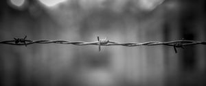 Preview wallpaper barbed wire, thorns, black and white, blur
