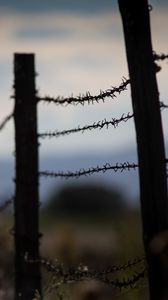 Preview wallpaper barbed wire, thorns, fence