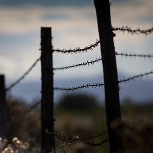 Preview wallpaper barbed wire, thorns, fence
