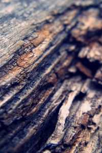 Preview wallpaper bark, blur, dark, background