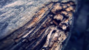 Preview wallpaper bark, blur, dark, background