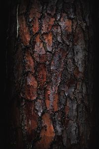 Preview wallpaper bark, macro, tree, wooden