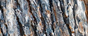 Preview wallpaper bark, spruce, tree, texture