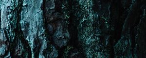 Preview wallpaper bark, tree, embossed, dark, surface