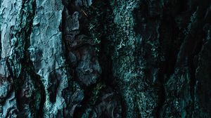 Preview wallpaper bark, tree, embossed, dark, surface
