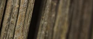 Preview wallpaper bark, tree, macro, dark, blur