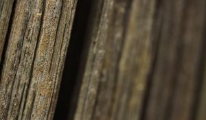 Preview wallpaper bark, tree, macro, dark, blur