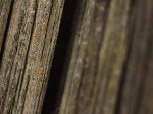 Preview wallpaper bark, tree, macro, dark, blur