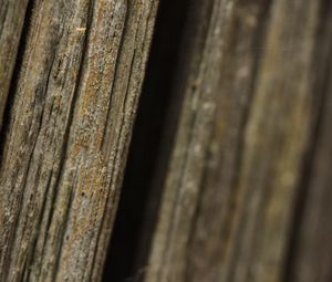 Preview wallpaper bark, tree, macro, dark, blur