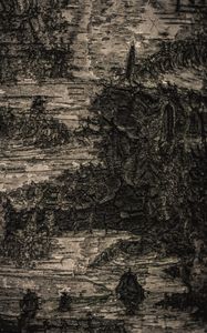 Preview wallpaper bark, tree, macro, texture