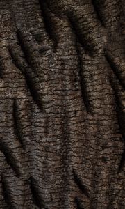 Preview wallpaper bark, tree, relief, texture, wooden