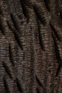 Preview wallpaper bark, tree, relief, texture, wooden