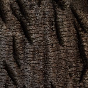 Preview wallpaper bark, tree, relief, texture, wooden
