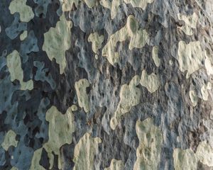 Preview wallpaper bark, tree, wooden, texture, pattern