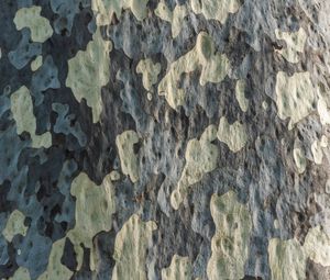 Preview wallpaper bark, tree, wooden, texture, pattern