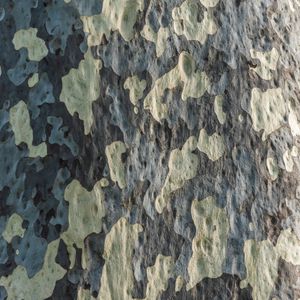 Preview wallpaper bark, tree, wooden, texture, pattern