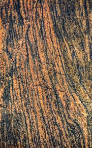 Preview wallpaper bark, tree, wooden, relief, texture, brown