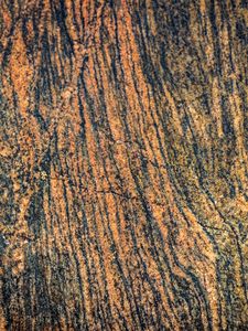 Preview wallpaper bark, tree, wooden, relief, texture, brown