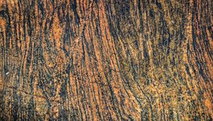 Preview wallpaper bark, tree, wooden, relief, texture, brown
