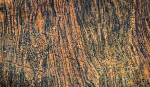 Preview wallpaper bark, tree, wooden, relief, texture, brown