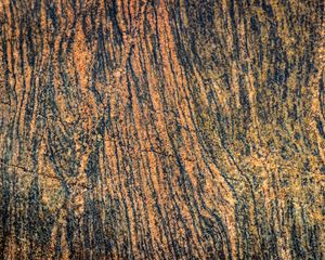 Preview wallpaper bark, tree, wooden, relief, texture, brown