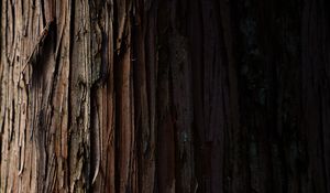 Preview wallpaper bark, wood, stripes, wooden, texture