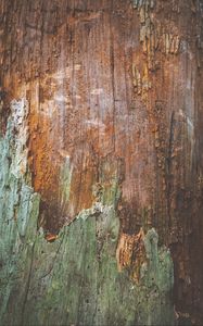 Preview wallpaper bark, wood, wooden, surface