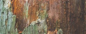 Preview wallpaper bark, wood, wooden, surface
