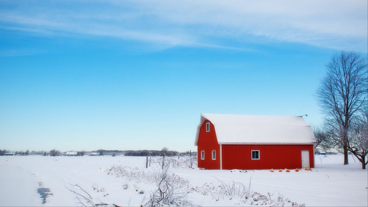 Wallpaper barn, winter, sky, tree