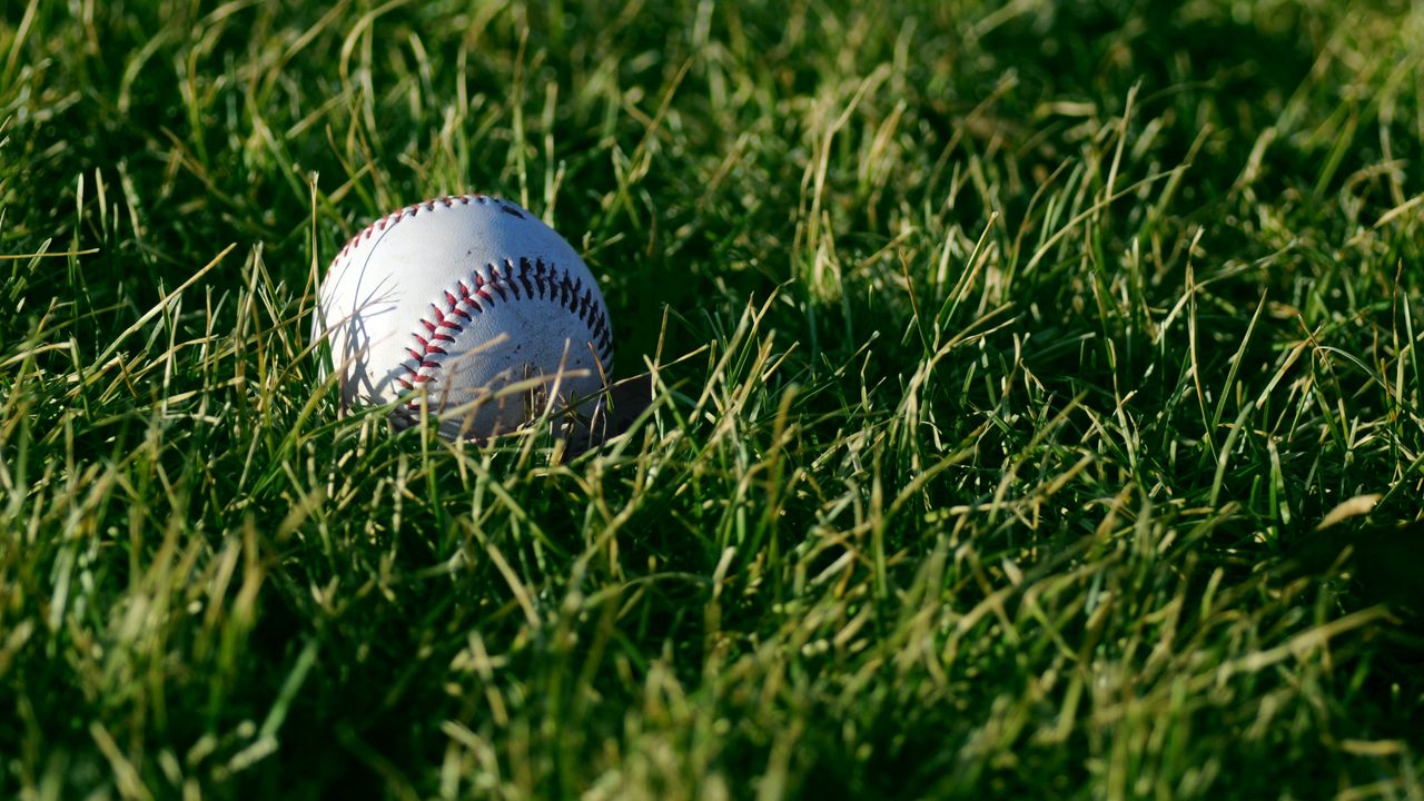 Wallpaper baseball, ball, grass, sport