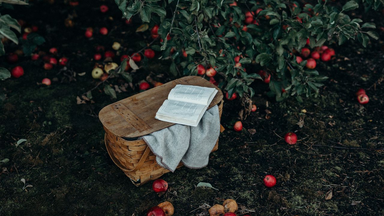 Wallpaper basket, book, apples, harvest