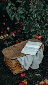 Preview wallpaper basket, book, apples, harvest