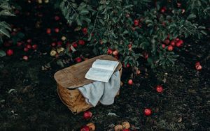 Preview wallpaper basket, book, apples, harvest
