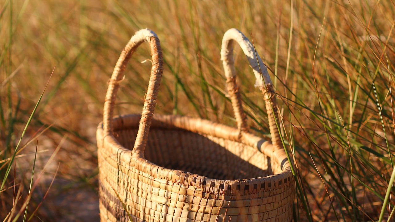 Wallpaper basket, braid, grass, sunshine, summer