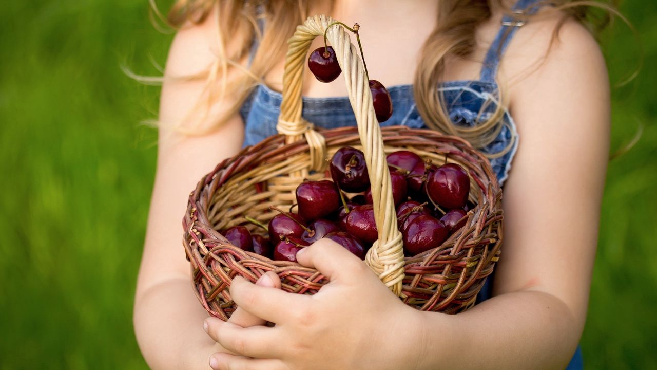 Wallpaper basket, cherries, berries, hands