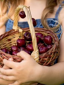 Preview wallpaper basket, cherries, berries, hands