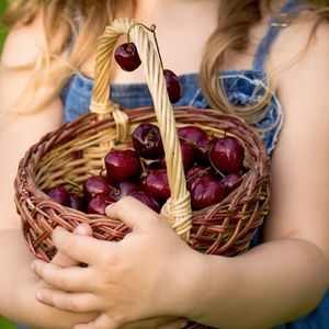 Preview wallpaper basket, cherries, berries, hands