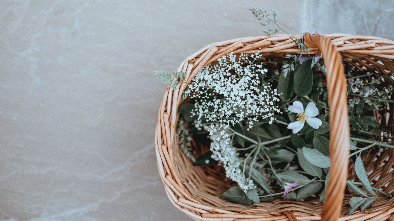 Wallpaper basket, flowers, grass