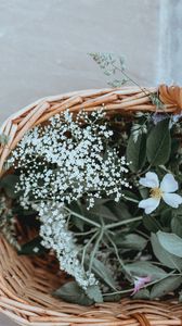 Preview wallpaper basket, flowers, grass