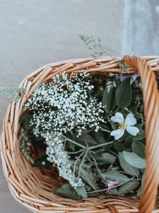 Preview wallpaper basket, flowers, grass